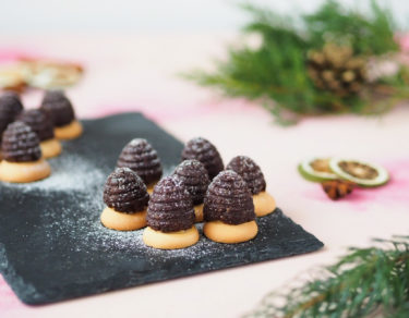 zdravá_vosí_hnízda